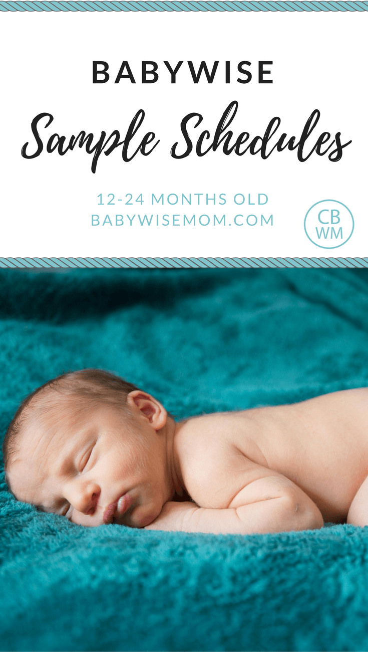 Reader Sample Schedules: 12-24 Months Old | Babywise Schedules | Babywise | #babywise #babywiseschedules