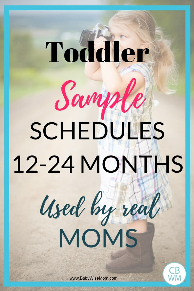 Text overlay reading toddler sample schedules 12-24 months used by real moms