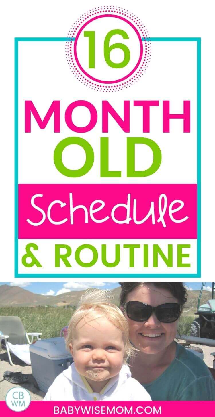 16 month old schedule and routine