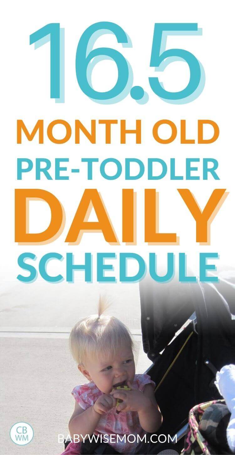 16.5 month old pretoddler schedule and daily routine pinnable image