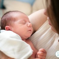 Parent Directed Feeding (Babywise PDF) Explained