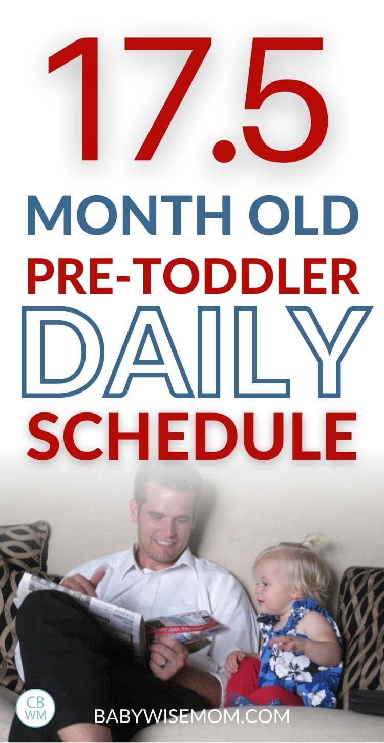 17.5 month old daily schedule