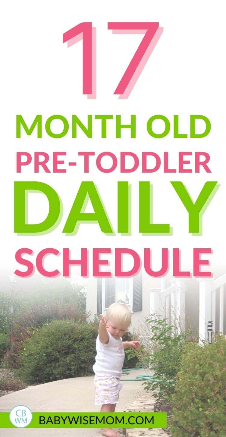 17 month old pretoddler summary. A full summary of life for this 17 month old. Find out what daily life was like and find a 17 month old sample schedule to follow. #pretoddler #pretoddlersummary #pretoddlerschedule #17montholdscedule