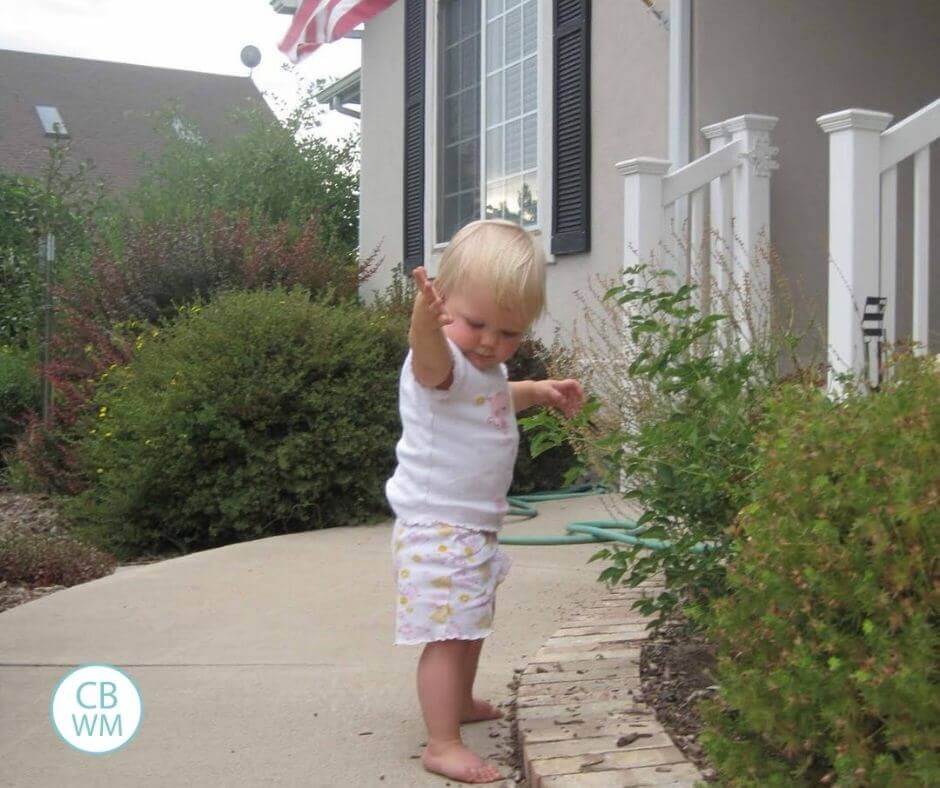 17 month old McKenna helping me weed