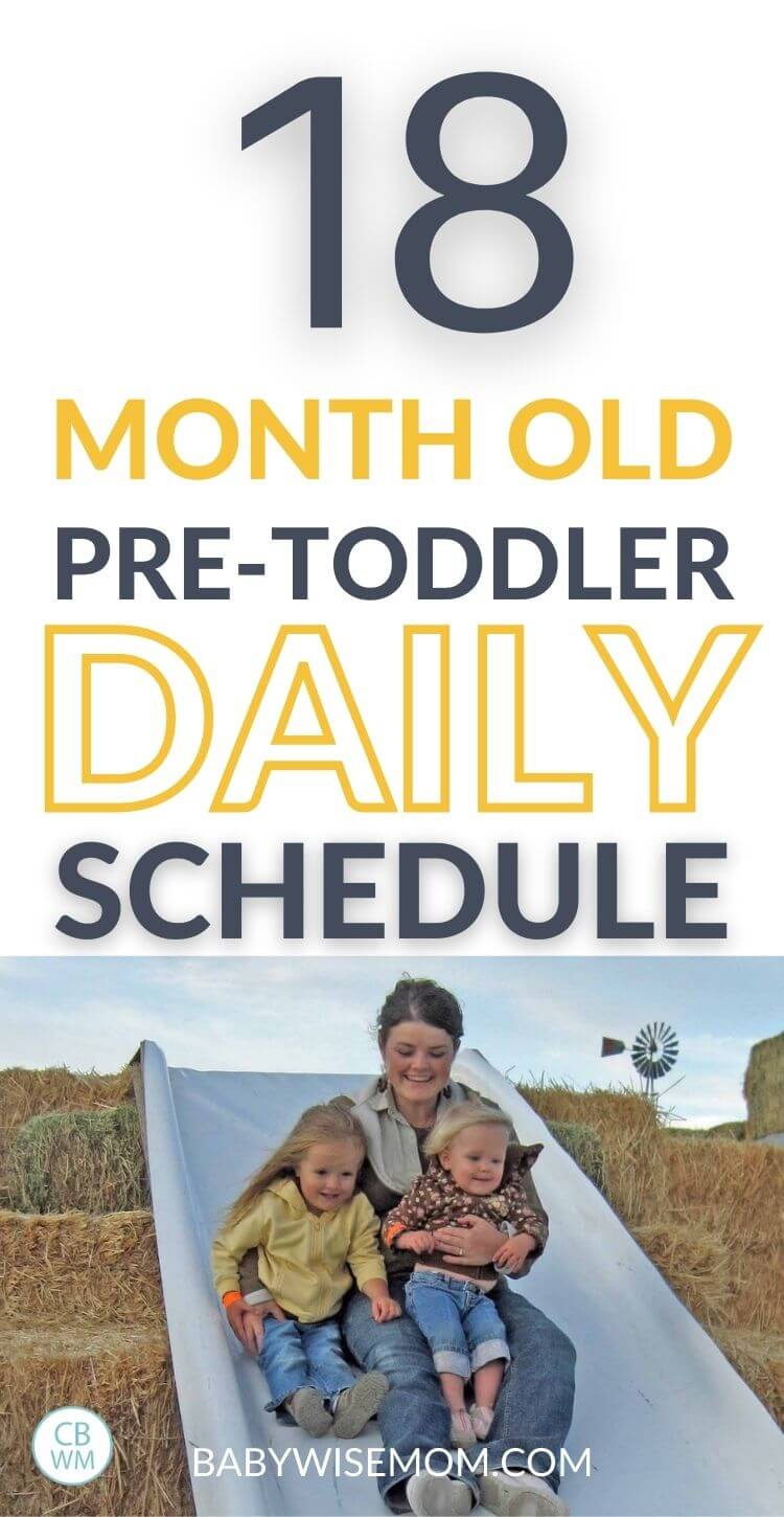 McKenna Pre Toddler Summary 18 Months Old Babywise Mom