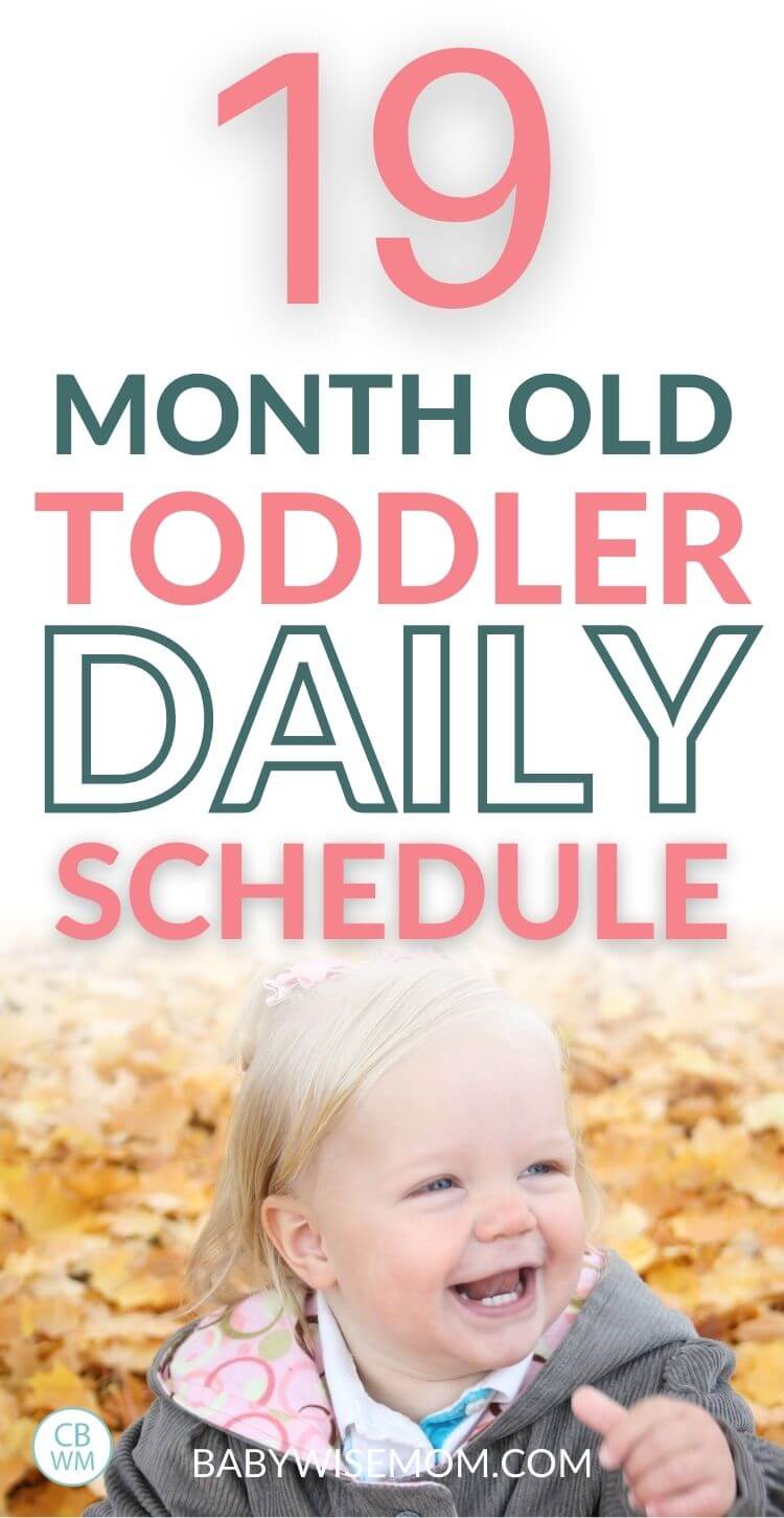 Mckenna Toddler Summary 19 Months Old Babywise Mom