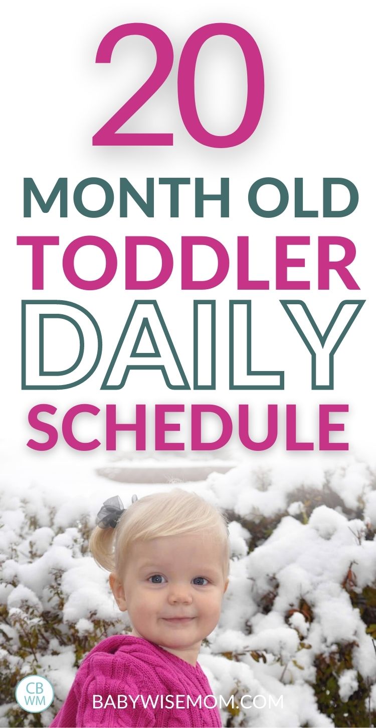 20 month old toddler daily schedule