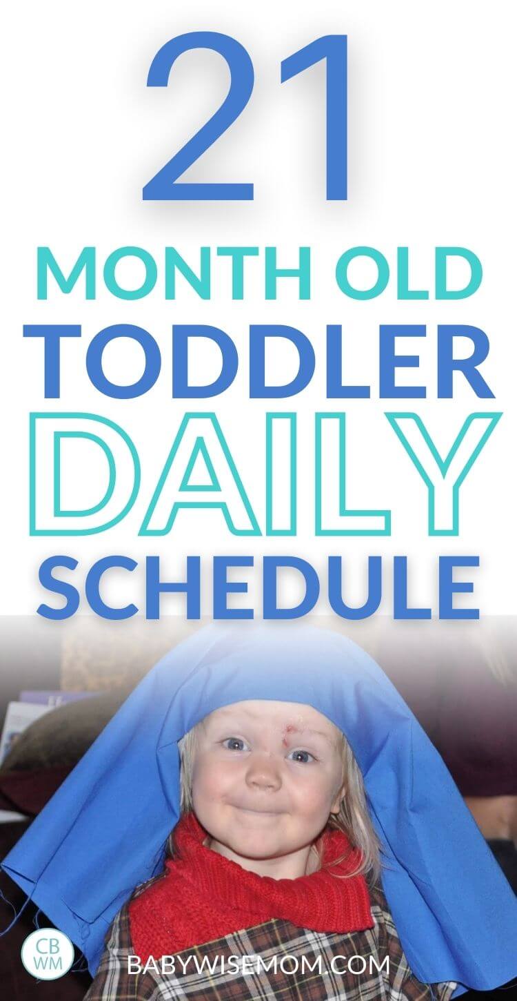 21 Month old toddler schedule