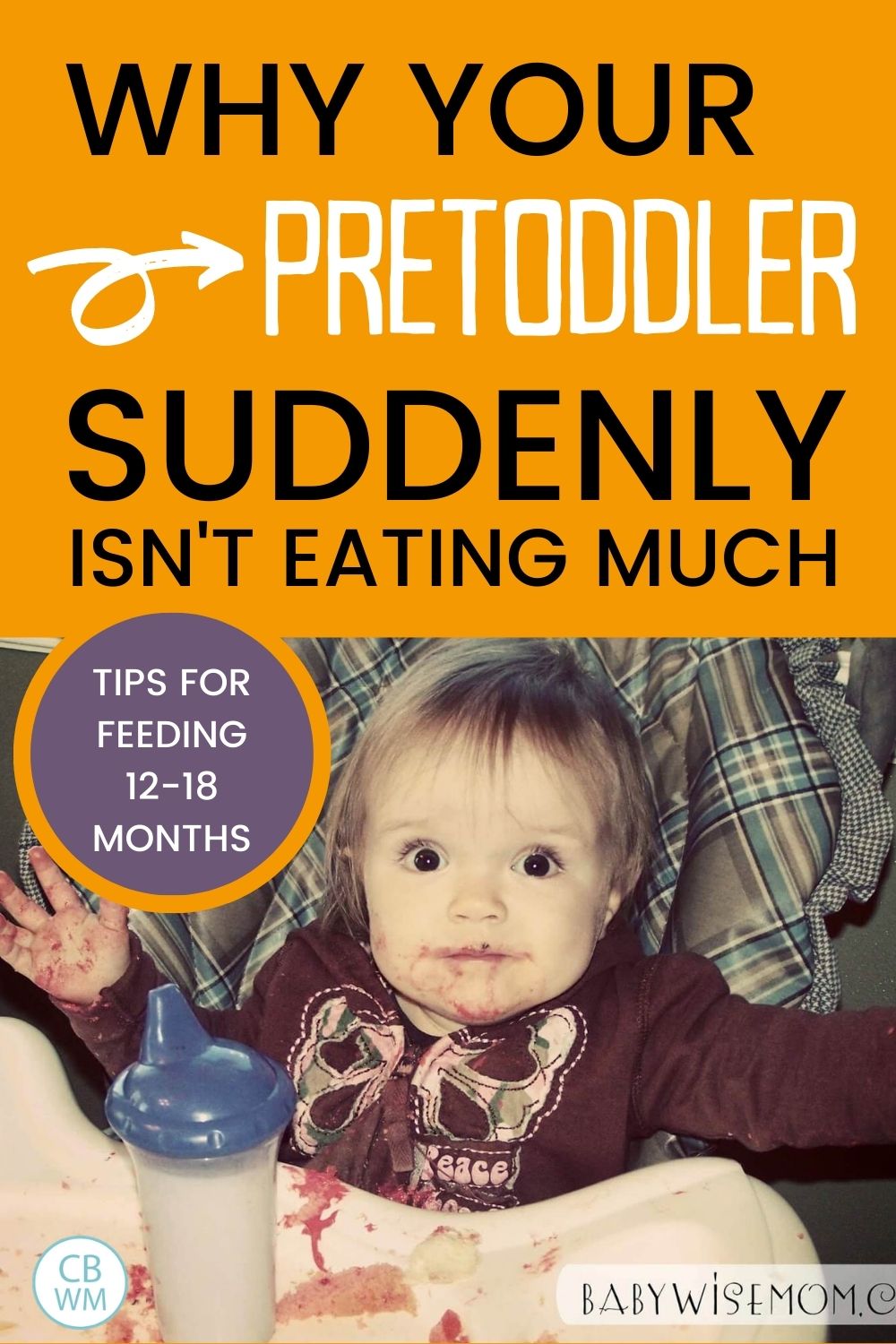 Pretoddler not eating much