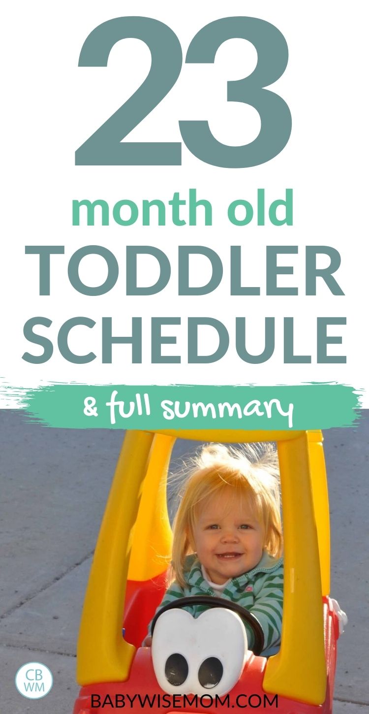 23 month old toddler schedule