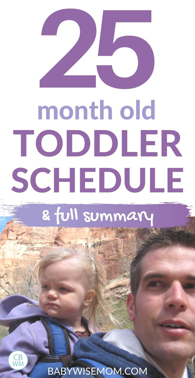 25 month old toddler schedule pin