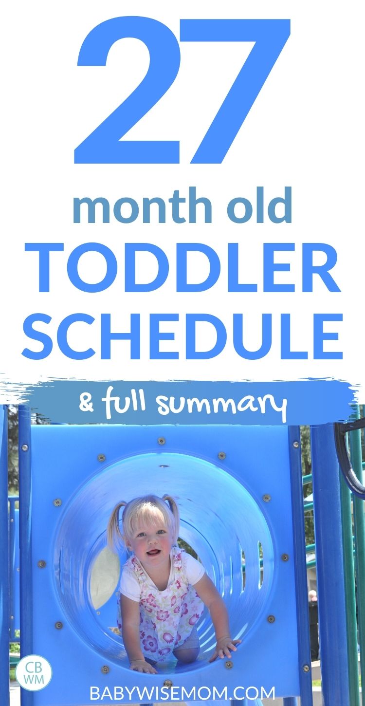 27 Month Old Toddler Schedule