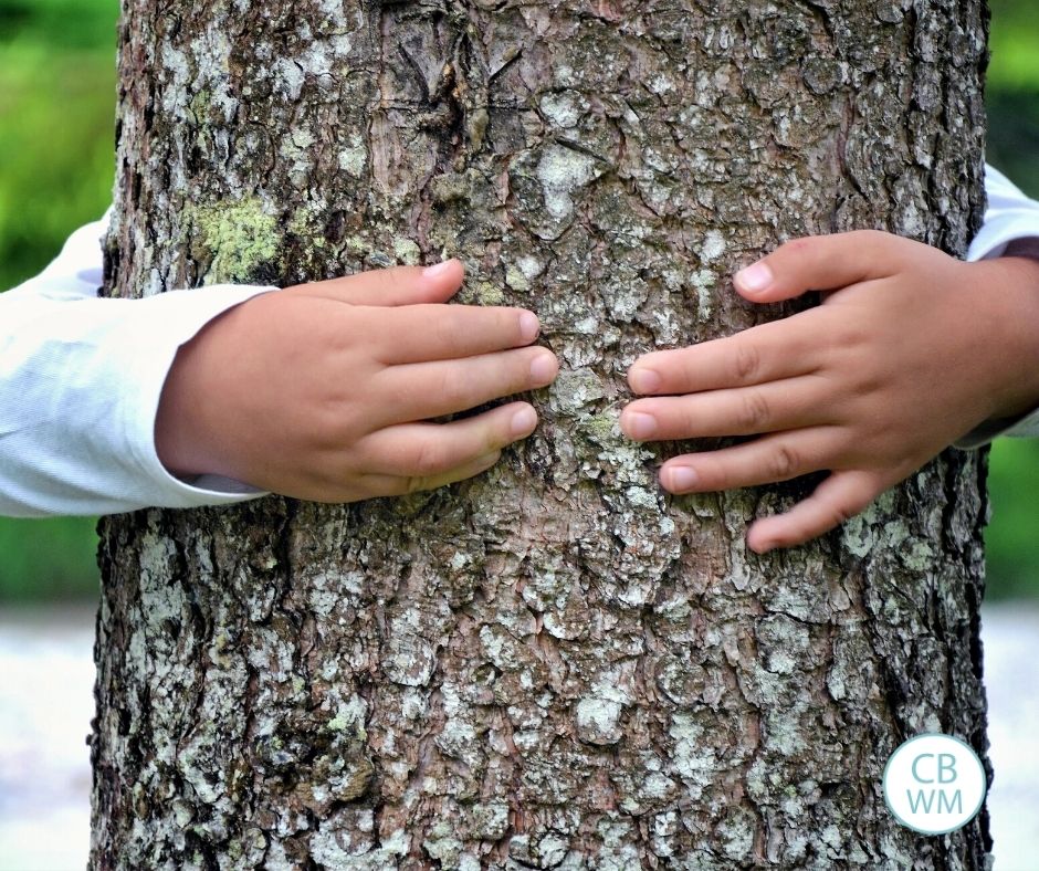 Child hugging a tree