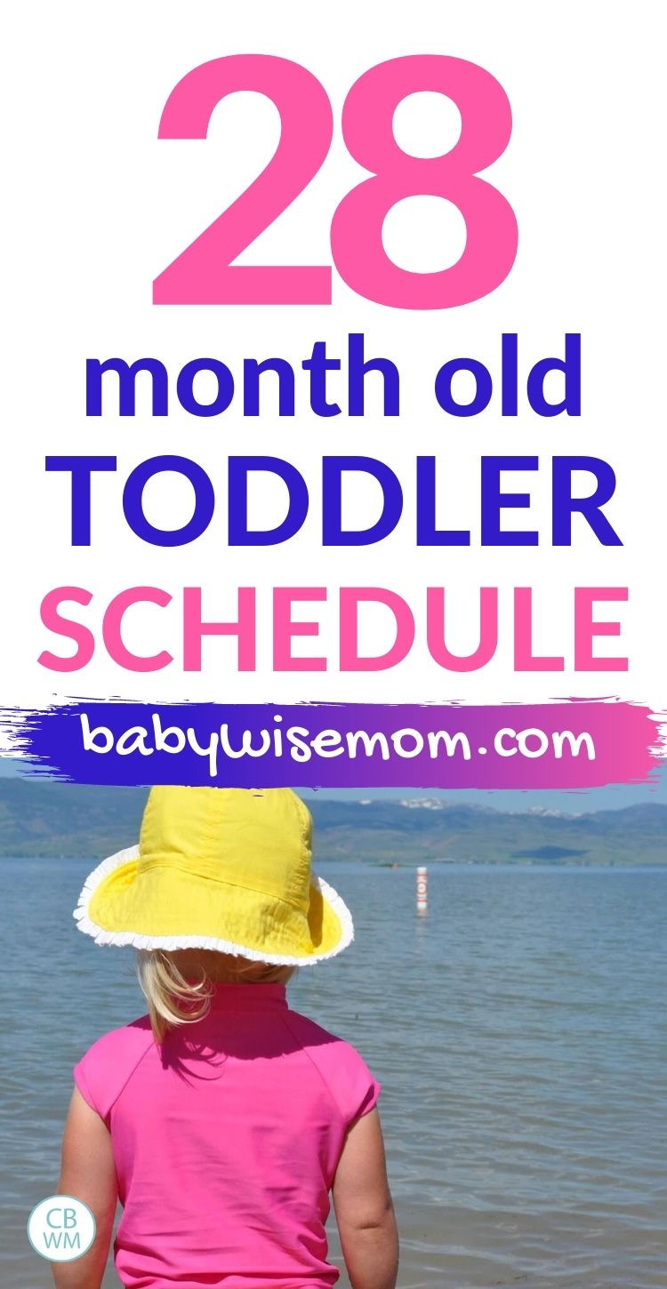 28 month old toddler schedule pinnable image