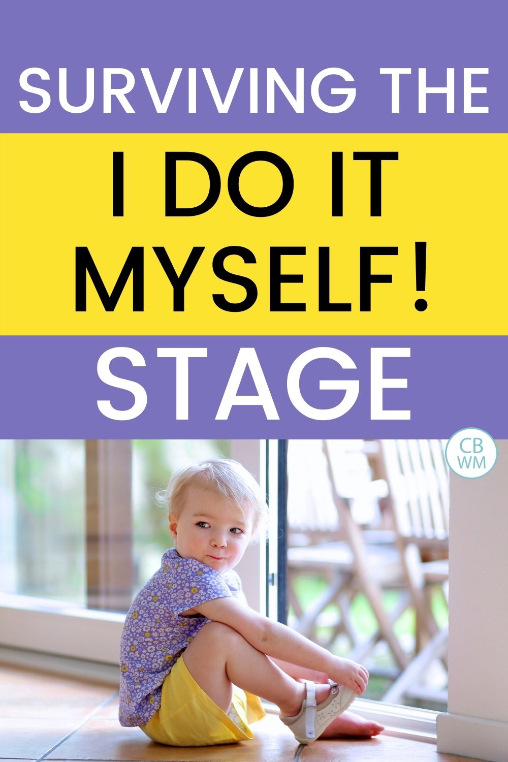 Surviving do it myself stage pinnable image