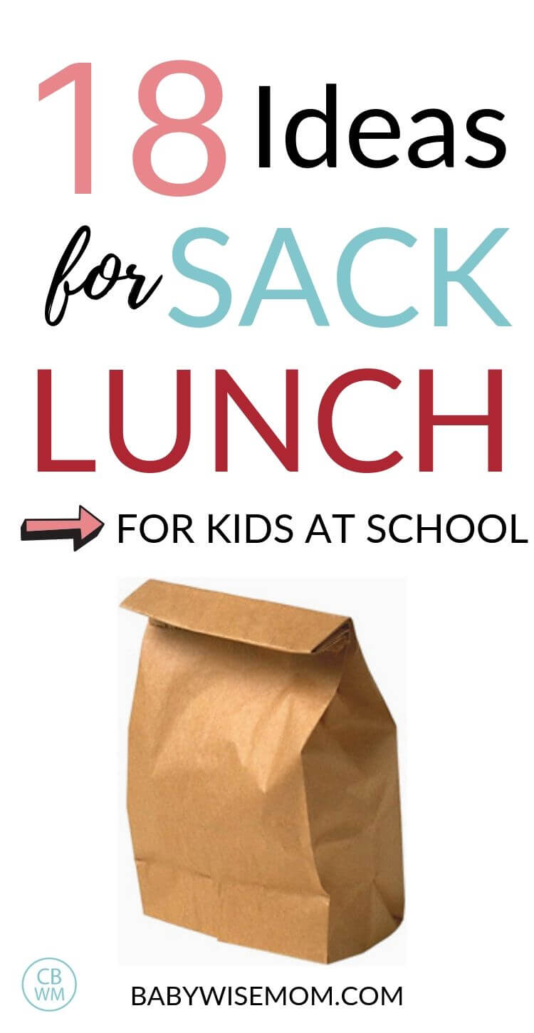 Sack Lunch Ideas pinnable image