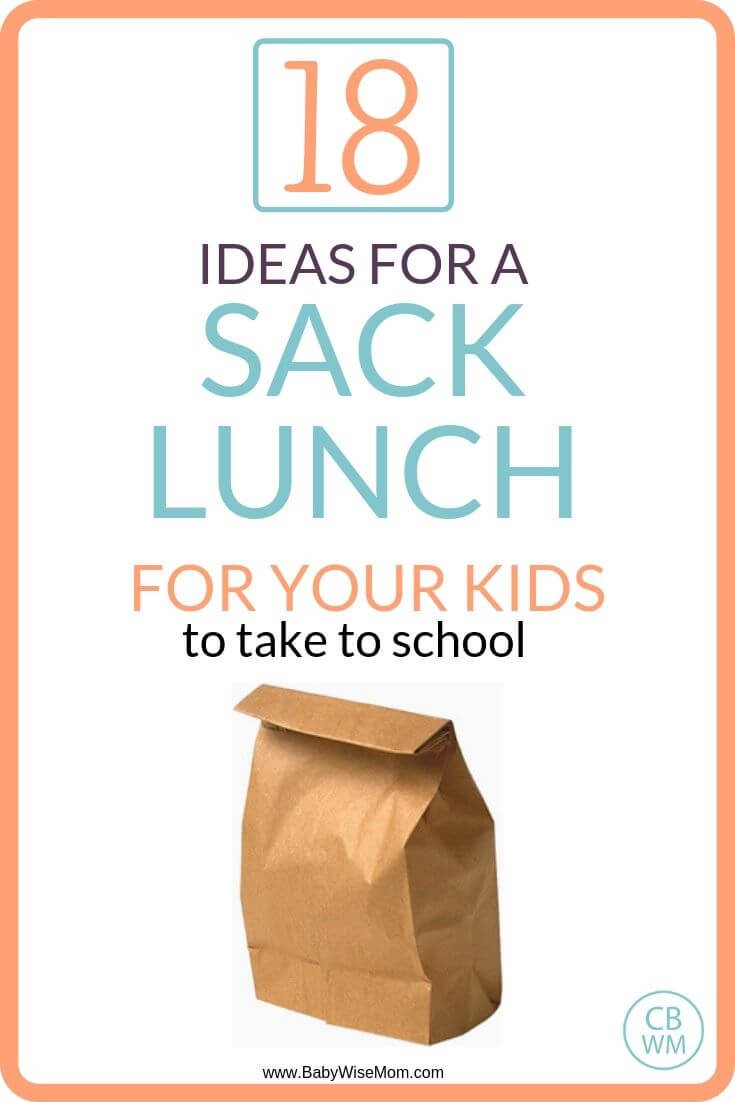 Sack lunch ideas for kids pinnable image