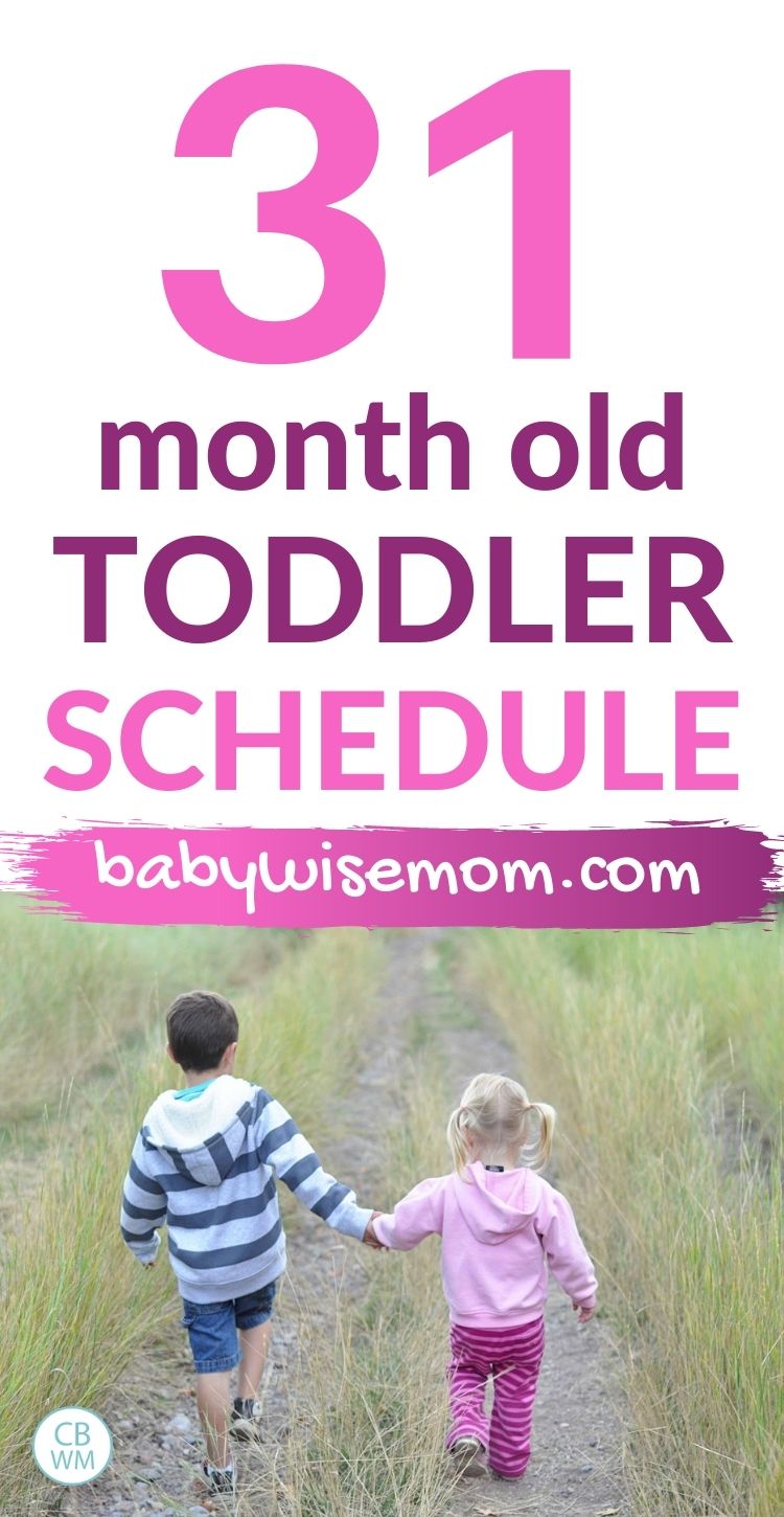 31 month old toddler schedule