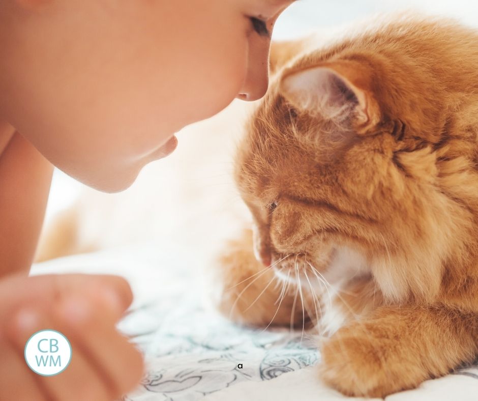 child with cat