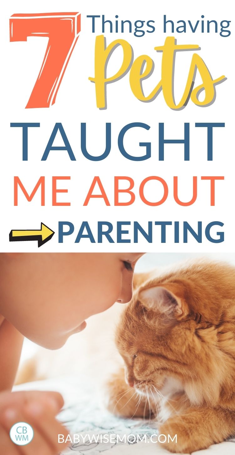 things pets teach about parenting