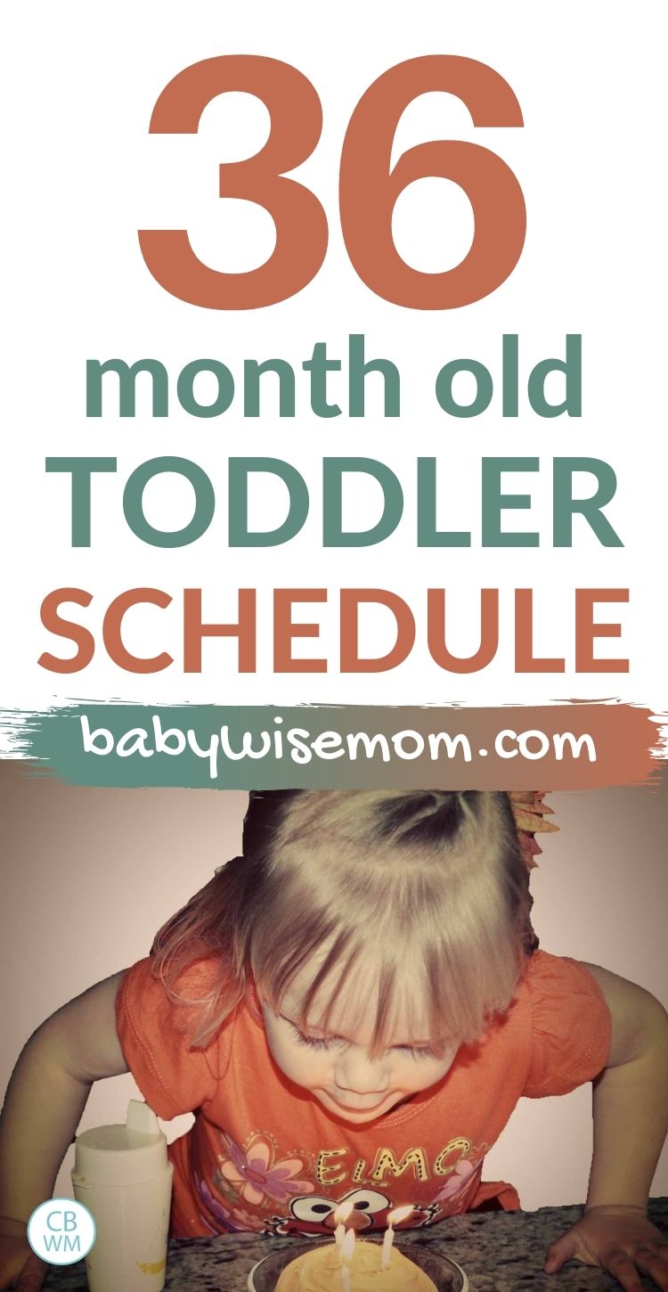 36 month old toddler schedule