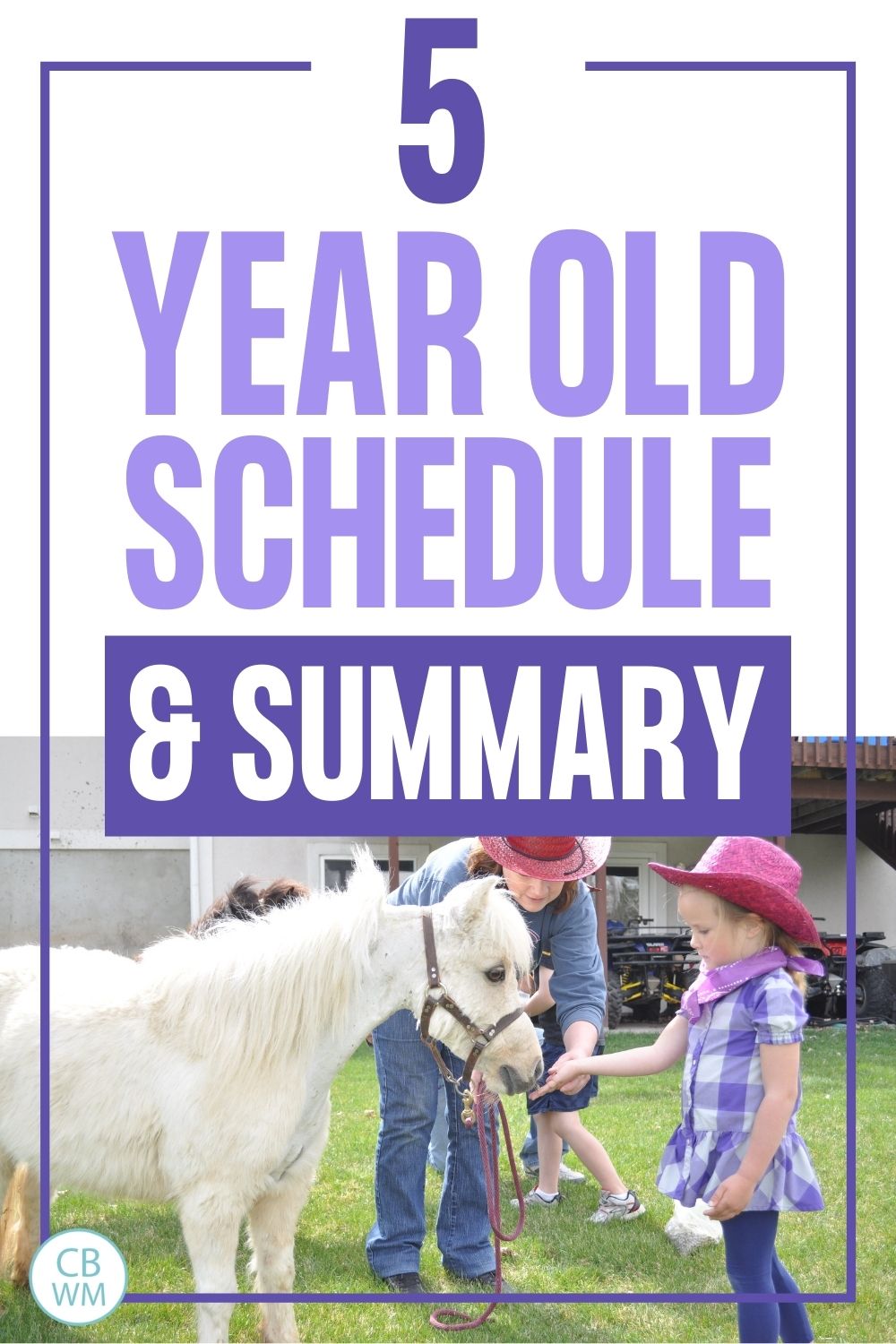 5 year old schedule and summary pinnable image