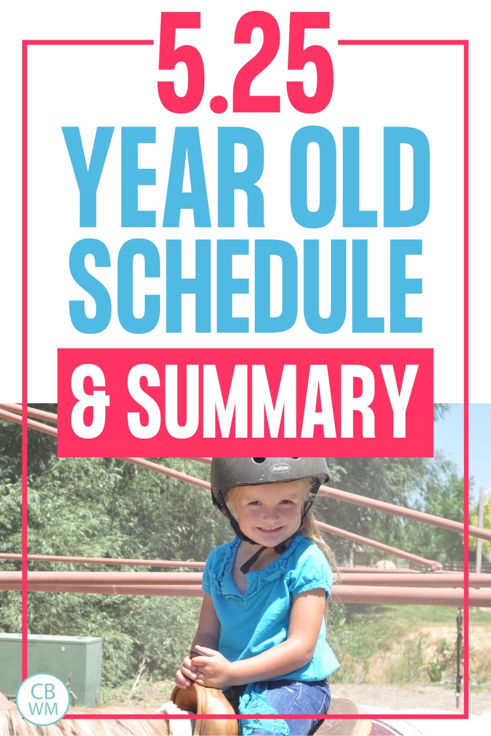 5 year old schedule and summary pinnable image