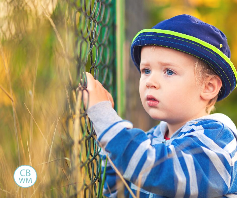 Child looking through a chain link fence