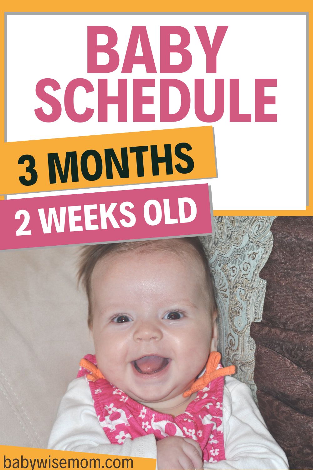 Brinley Baby Summary: Week 16 - Babywise Mom