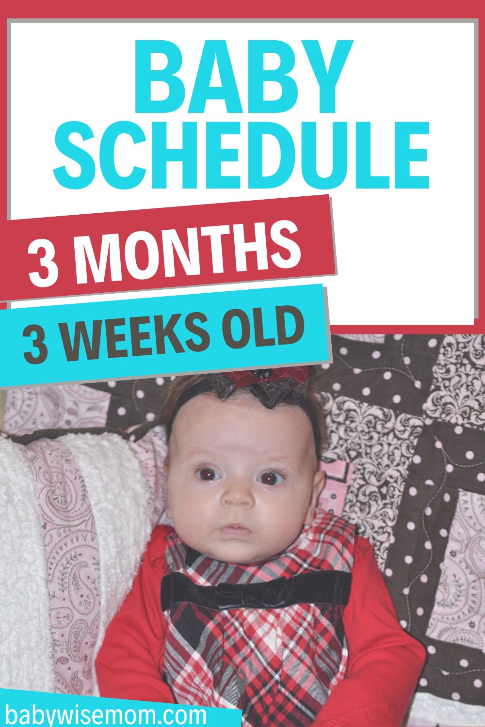 3 month 3 week old schedule