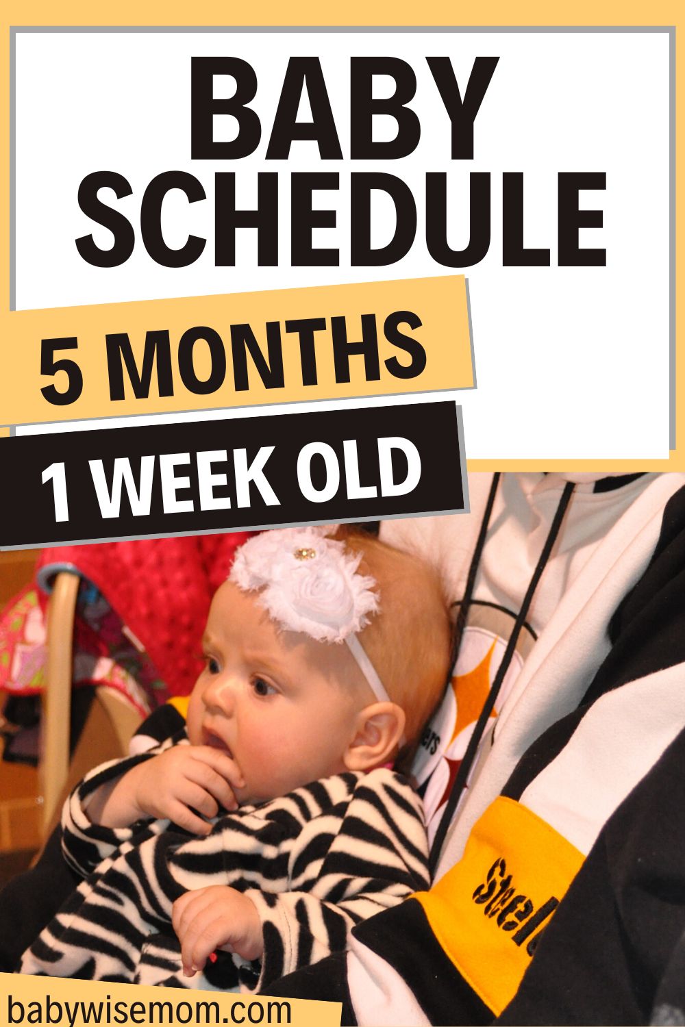 5 months 1 week old schedule pinnable image