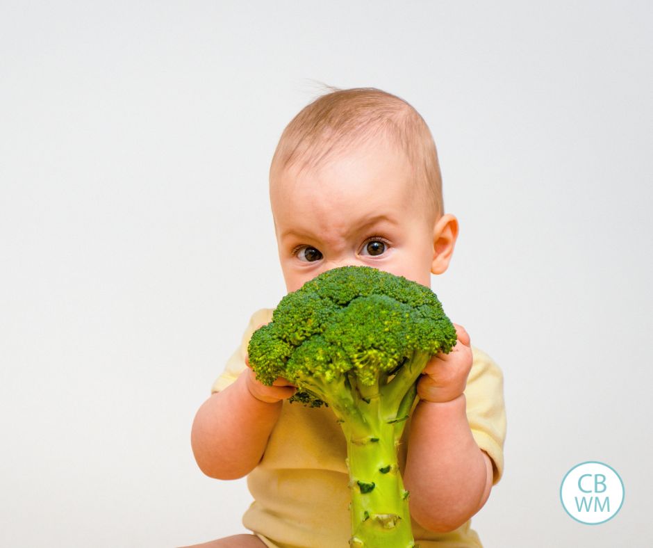 Baby eating broccoli