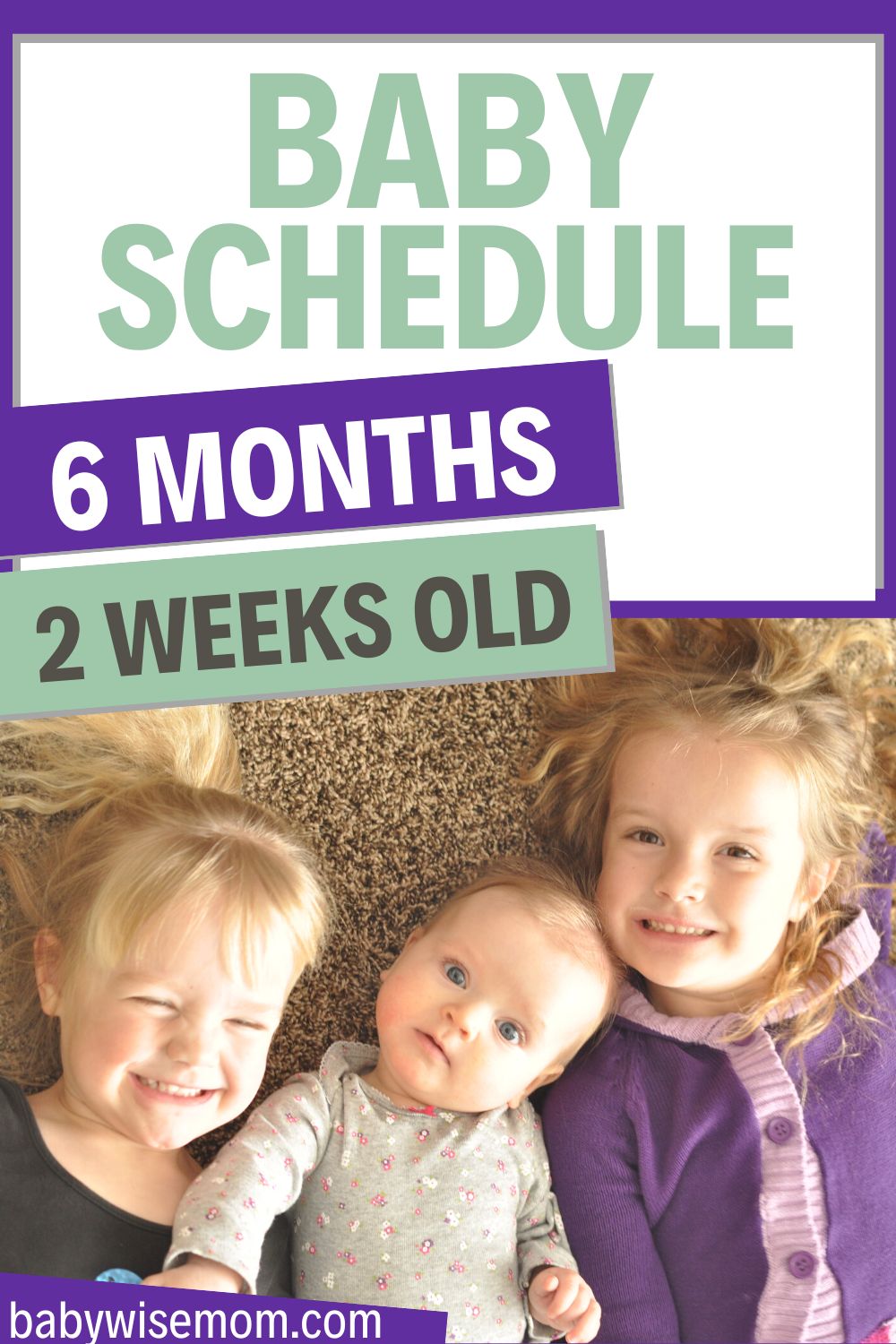 6 month old schedule pinnable image