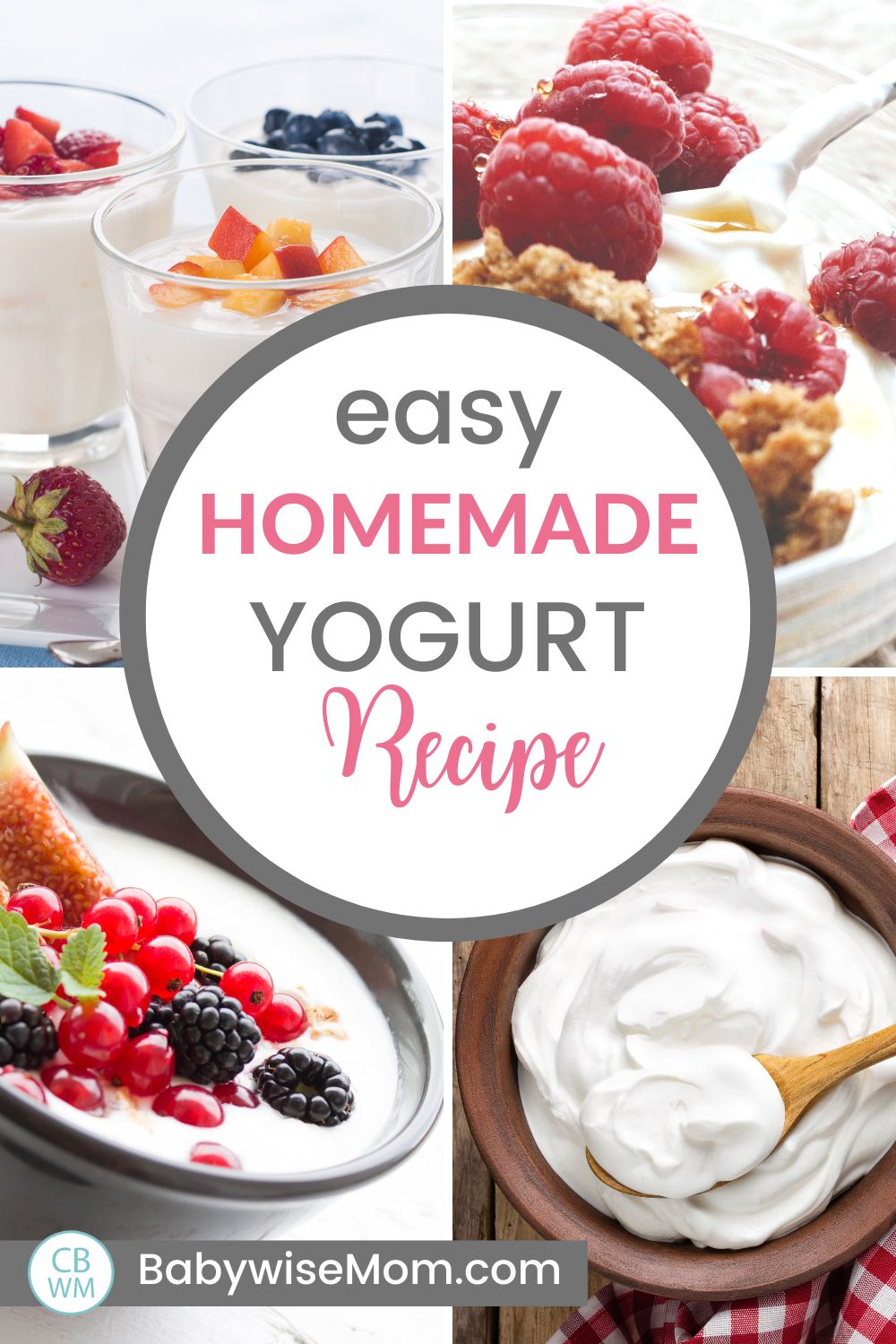 Homemade yogurt recipe pinnable image