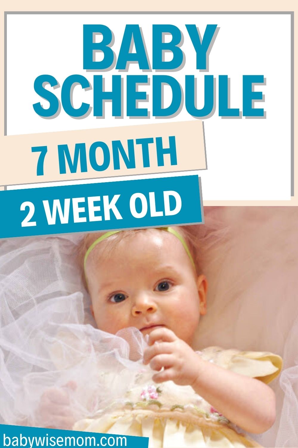 33 week old baby schedule pinnable image