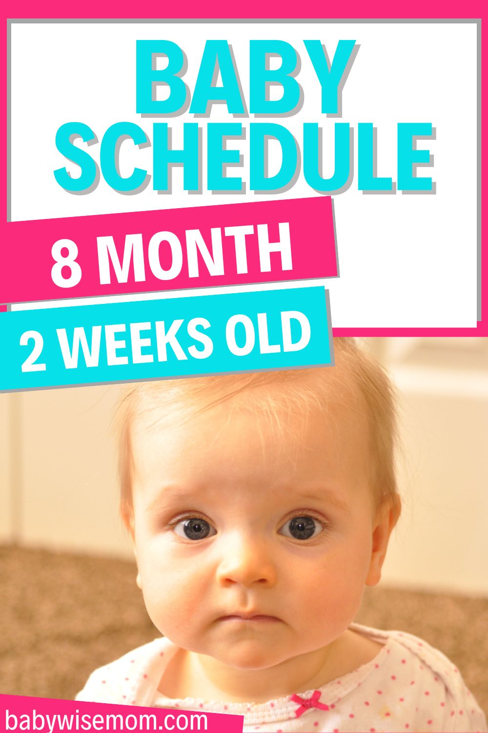 8 month 2 week old baby schedule