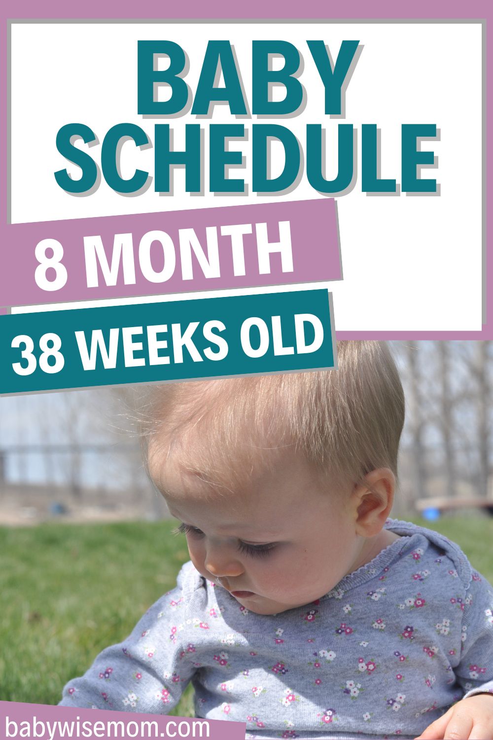 38 week schedule pinnable image