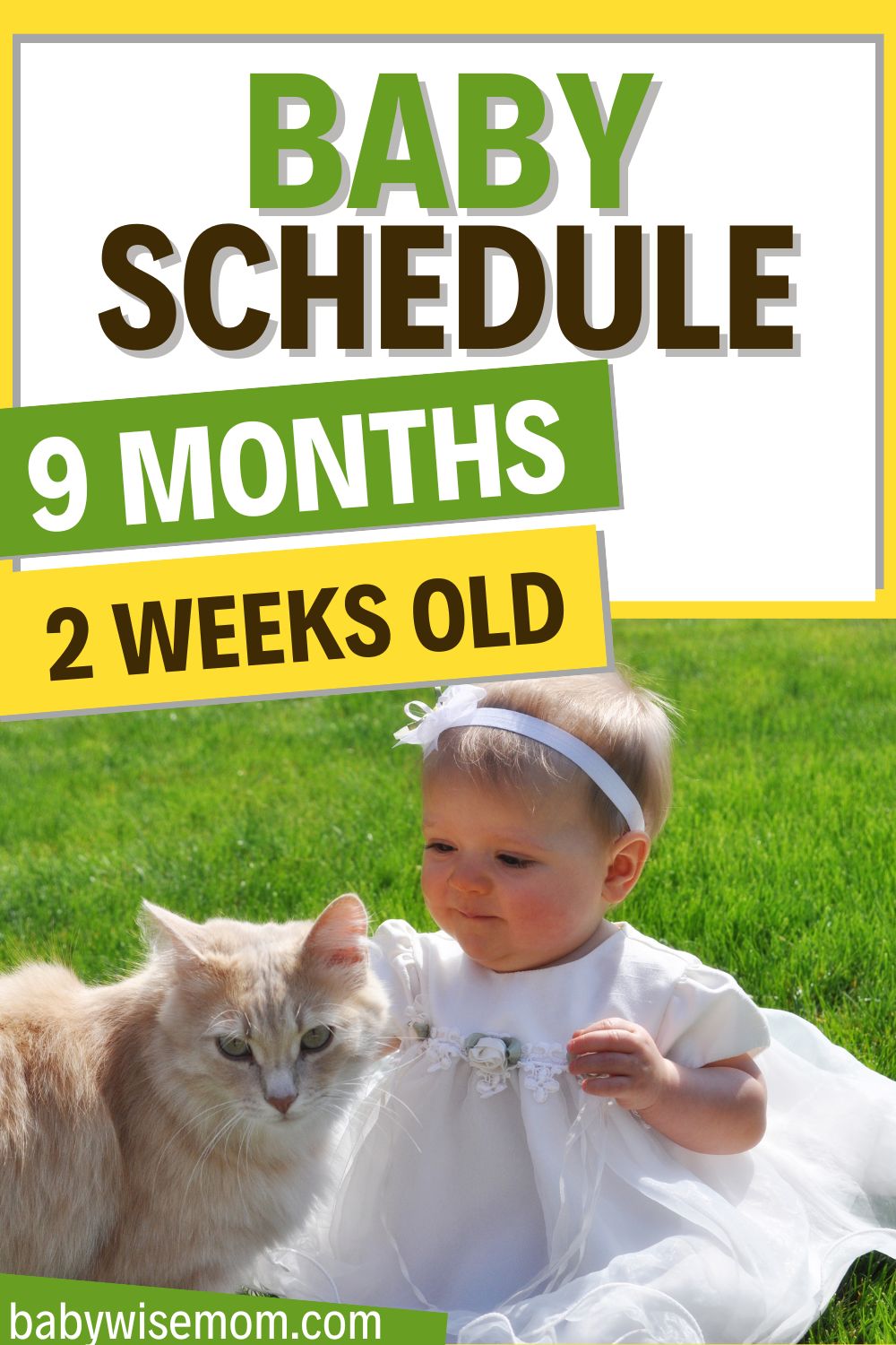 9 month old routine pinnable image