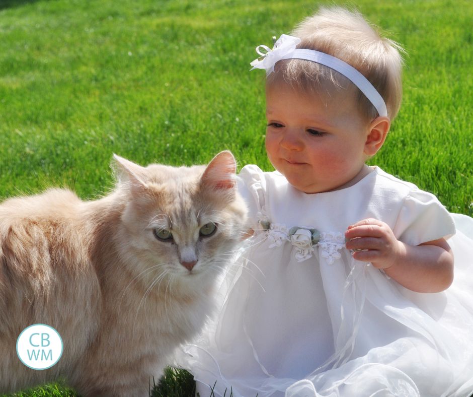 Brinley petting a cat