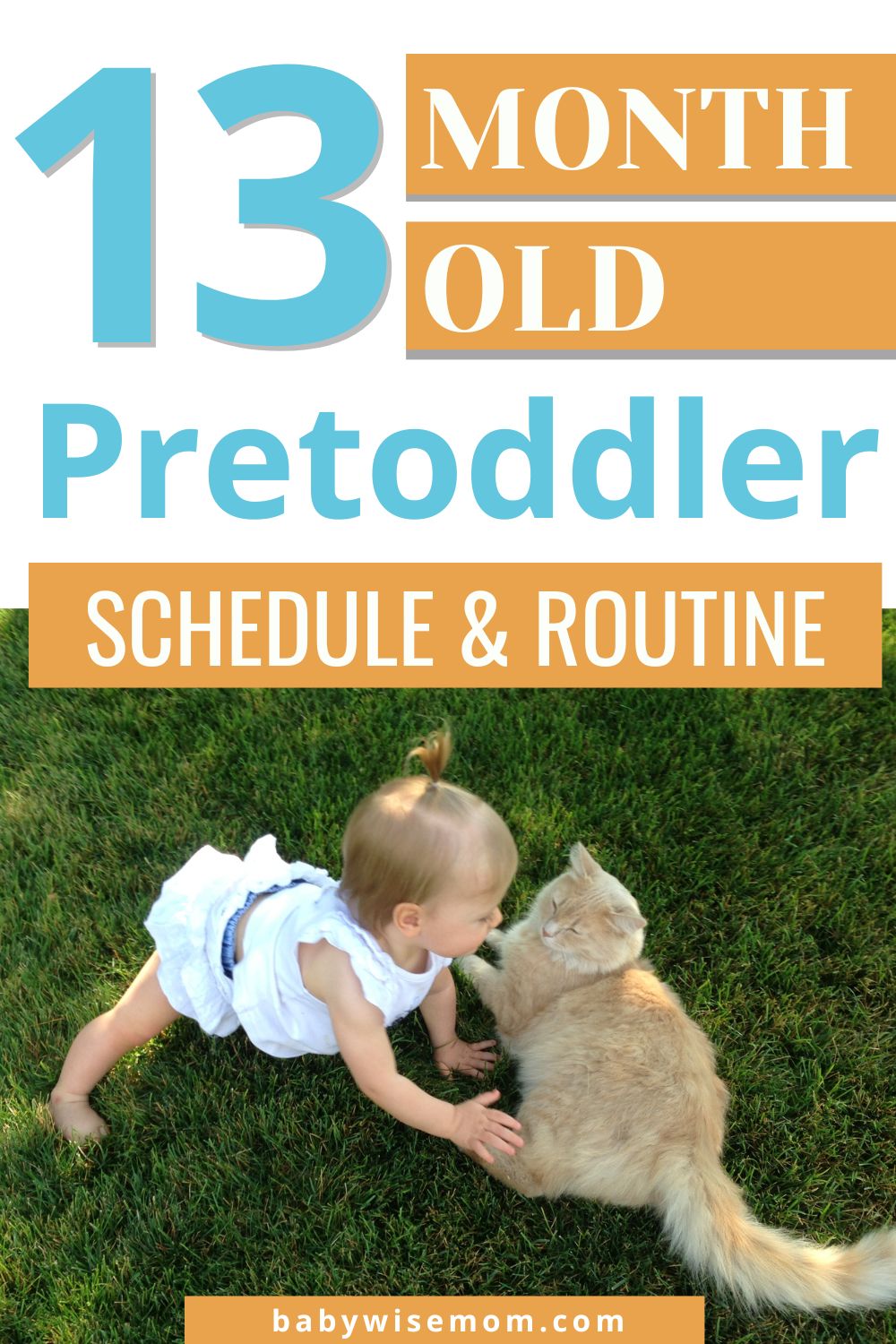 13 month old pretoddler schedule pinnable image