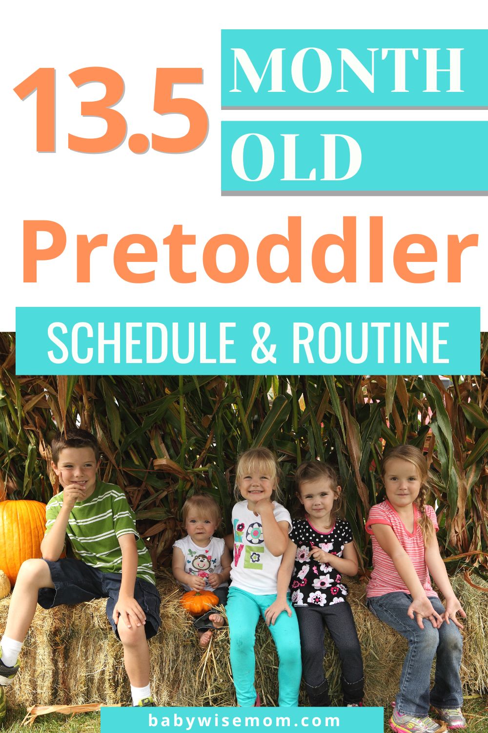 13.5 month old pretoddler schedule pinnable image
