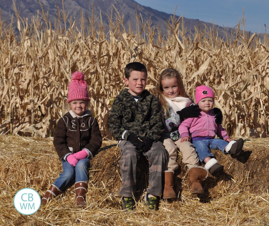 All 4 kids at the corn maze