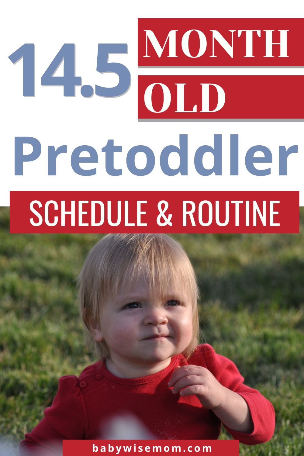 14.5 month old pretoddler schedule and routine pinnable image