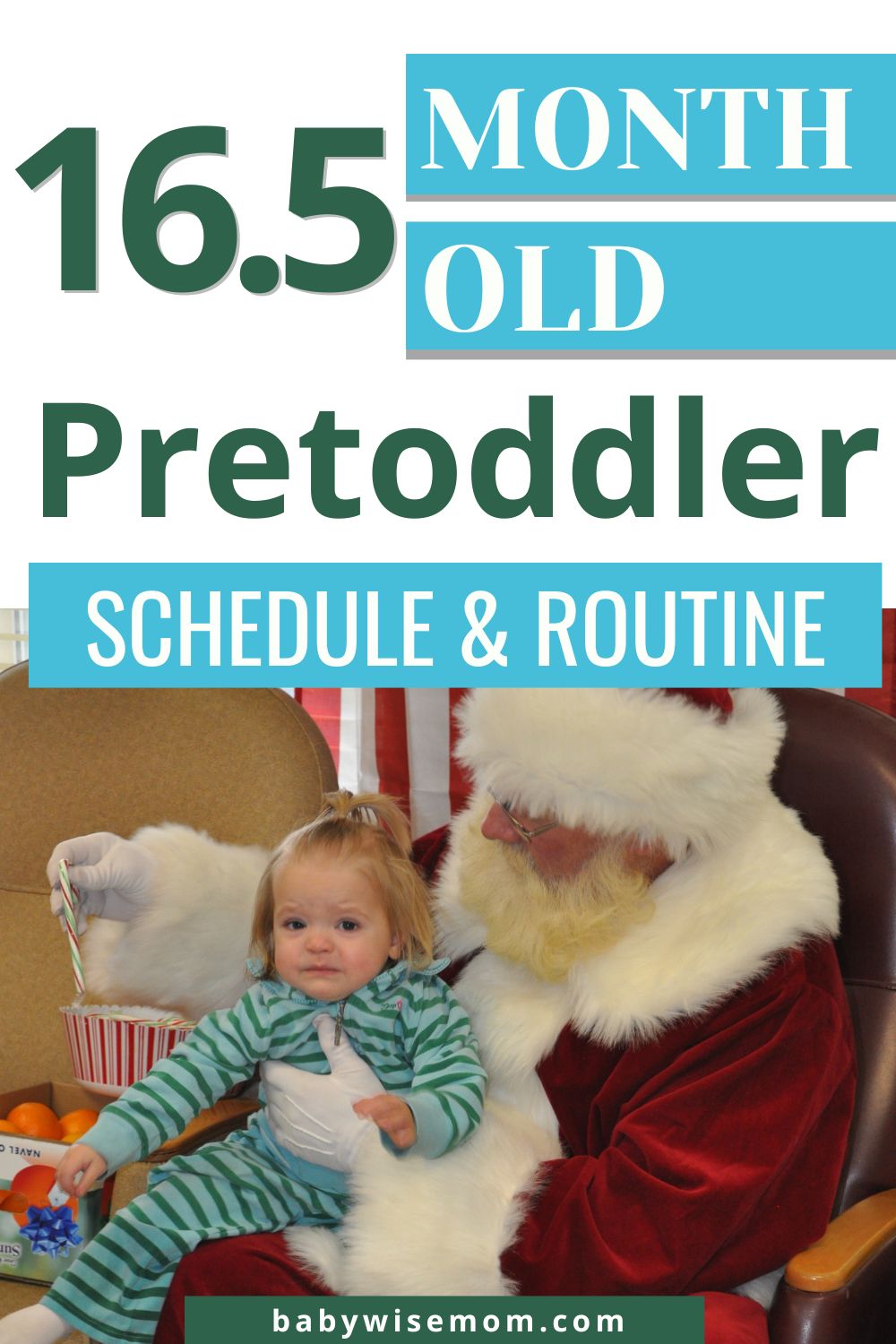 16.5 month old pretoddler summary and schedule pinnable image