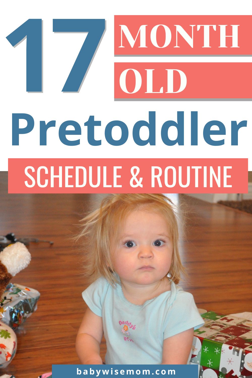 17 month old pretoddler schedule