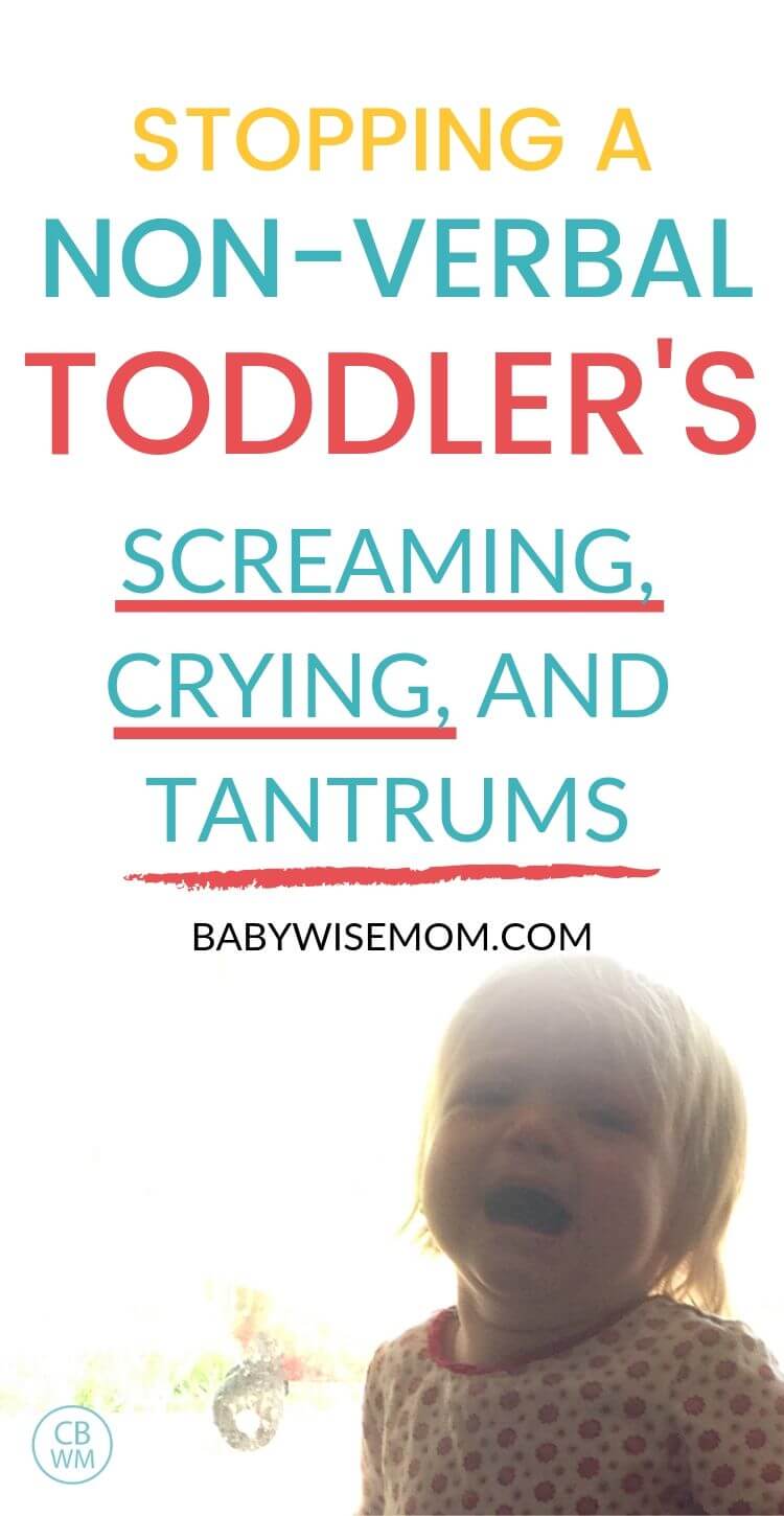 Stopping the non-verbal toddler tantrums Pinnable Image