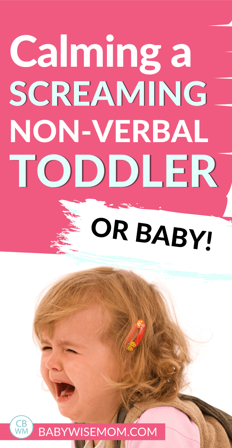 How to calm a screaing non-verbal toddler or baby