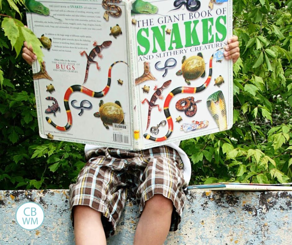 child reading a book