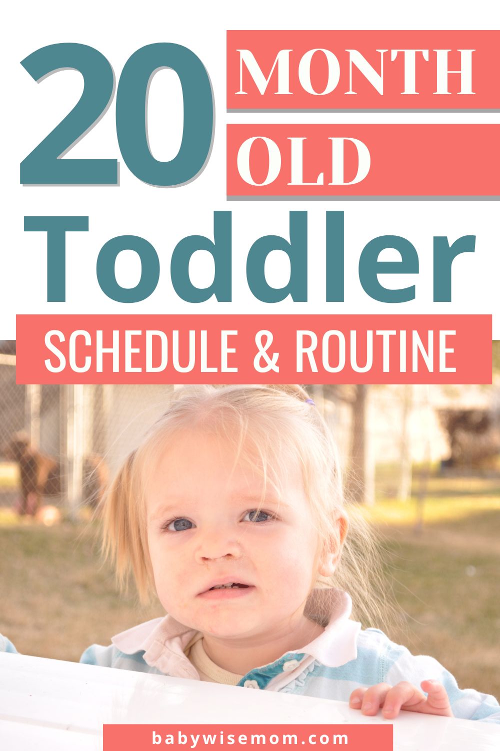 20 month old toddler schedule and routine pinnable image