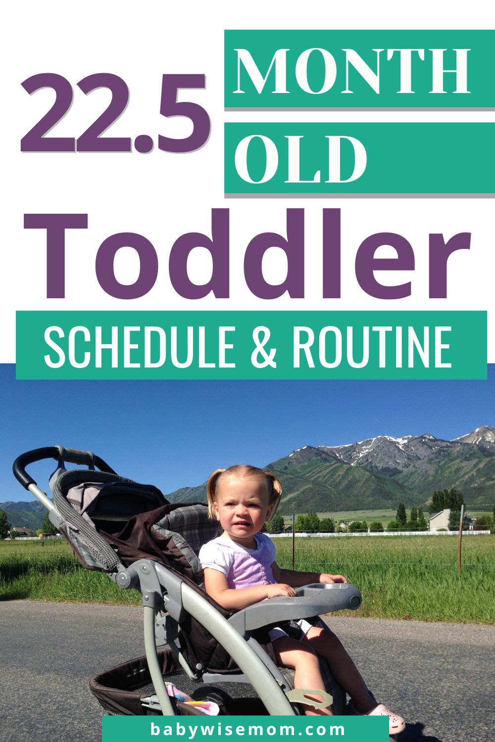 22.5 month old toddler schedule pinnable image